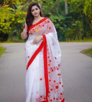 Half Silk  Saree With Blouse Pc with Blouse(2404)